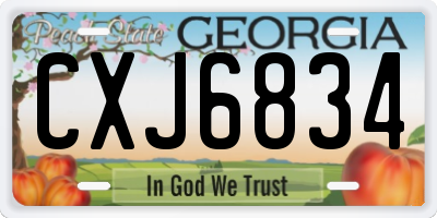 GA license plate CXJ6834