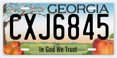 GA license plate CXJ6845