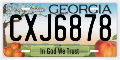 GA license plate CXJ6878