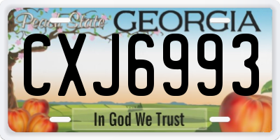 GA license plate CXJ6993
