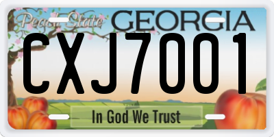 GA license plate CXJ7001