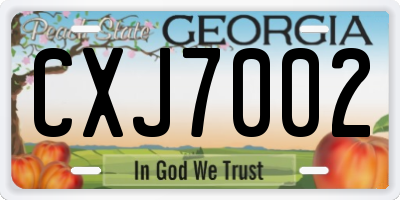 GA license plate CXJ7002