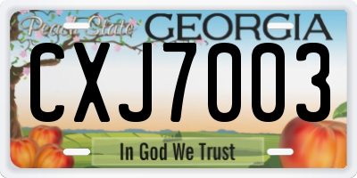 GA license plate CXJ7003
