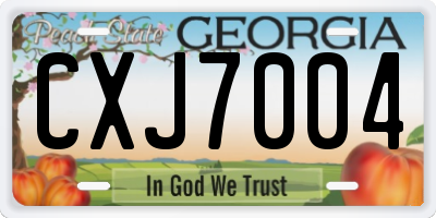 GA license plate CXJ7004
