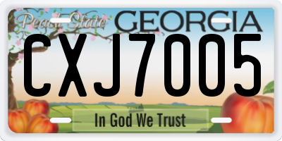 GA license plate CXJ7005