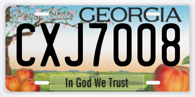 GA license plate CXJ7008