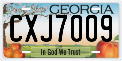 GA license plate CXJ7009