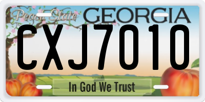 GA license plate CXJ7010