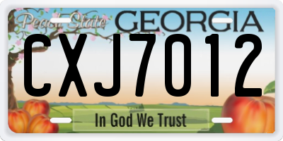 GA license plate CXJ7012
