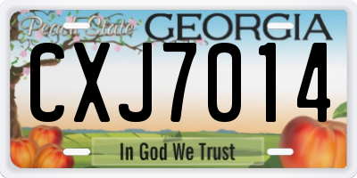 GA license plate CXJ7014