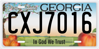 GA license plate CXJ7016