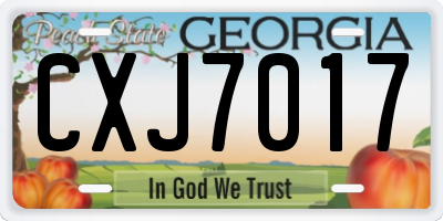 GA license plate CXJ7017