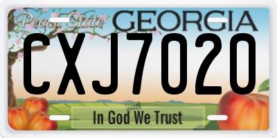 GA license plate CXJ7020