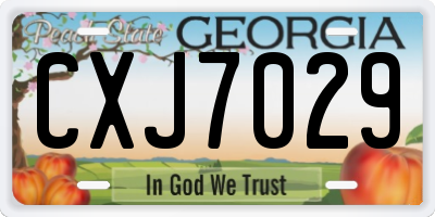 GA license plate CXJ7029