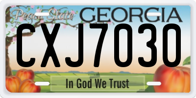 GA license plate CXJ7030