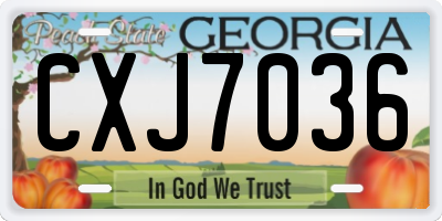 GA license plate CXJ7036