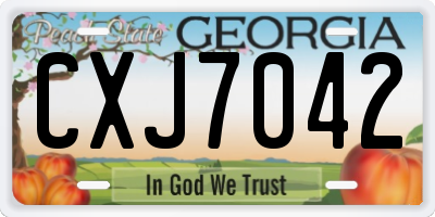 GA license plate CXJ7042