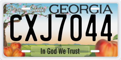 GA license plate CXJ7044