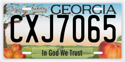 GA license plate CXJ7065