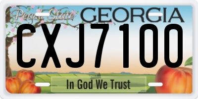 GA license plate CXJ7100