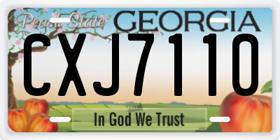 GA license plate CXJ7110