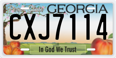 GA license plate CXJ7114