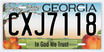 GA license plate CXJ7118