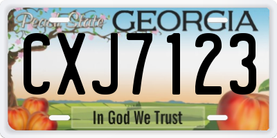GA license plate CXJ7123