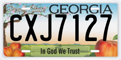 GA license plate CXJ7127