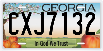 GA license plate CXJ7132