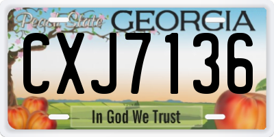 GA license plate CXJ7136