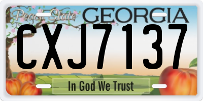 GA license plate CXJ7137