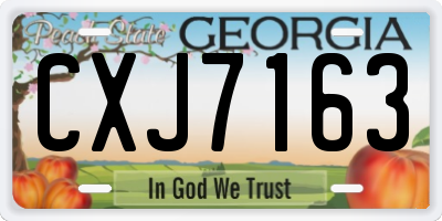 GA license plate CXJ7163