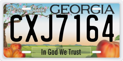 GA license plate CXJ7164