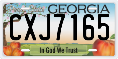 GA license plate CXJ7165