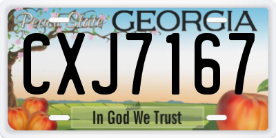 GA license plate CXJ7167