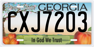GA license plate CXJ7203