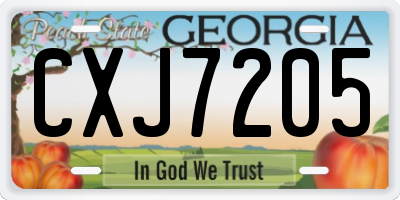 GA license plate CXJ7205