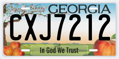 GA license plate CXJ7212