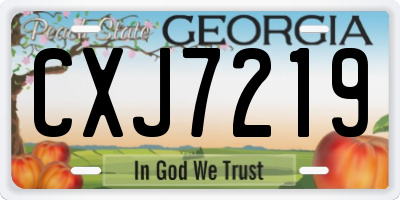 GA license plate CXJ7219