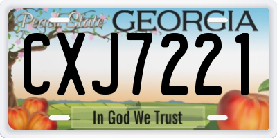 GA license plate CXJ7221