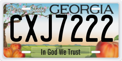 GA license plate CXJ7222
