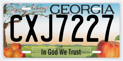 GA license plate CXJ7227