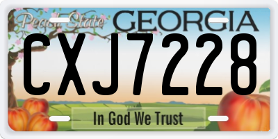 GA license plate CXJ7228