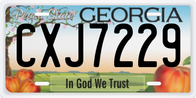 GA license plate CXJ7229