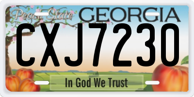 GA license plate CXJ7230