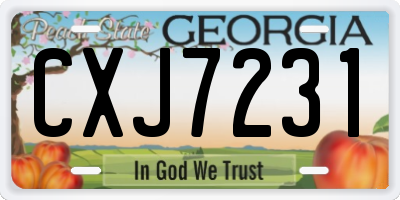 GA license plate CXJ7231