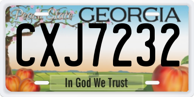 GA license plate CXJ7232