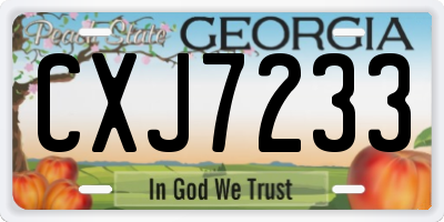 GA license plate CXJ7233