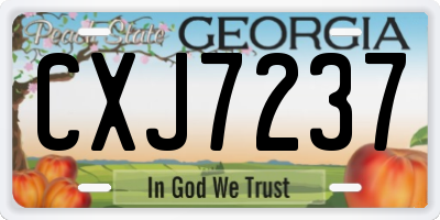 GA license plate CXJ7237
